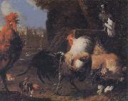 unknow artist Cock oil painting picture wholesale